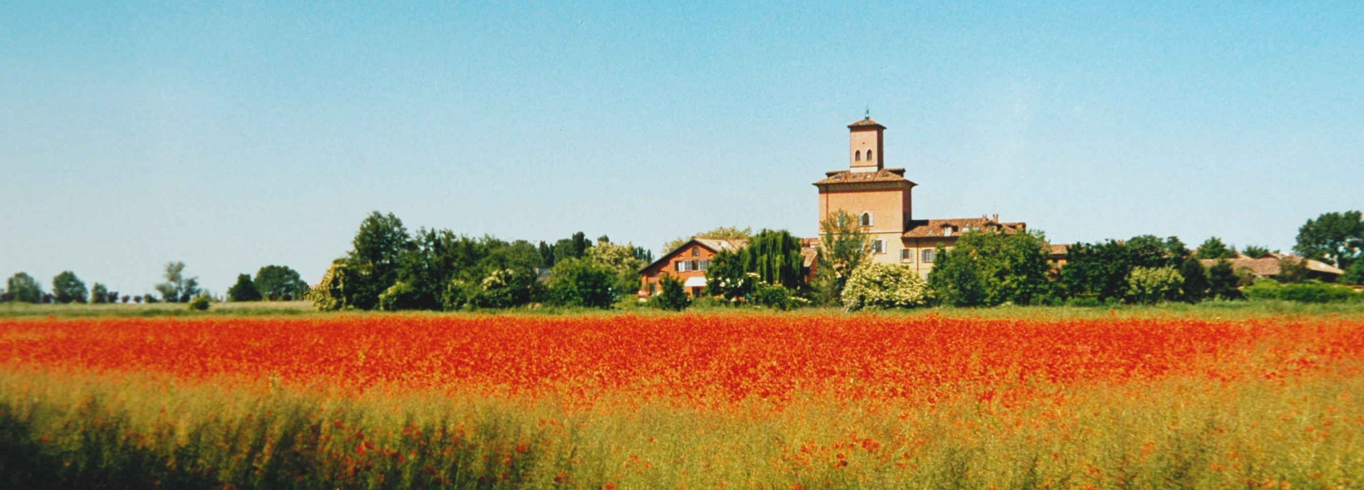 LA FORESTERIA DEI BALDI