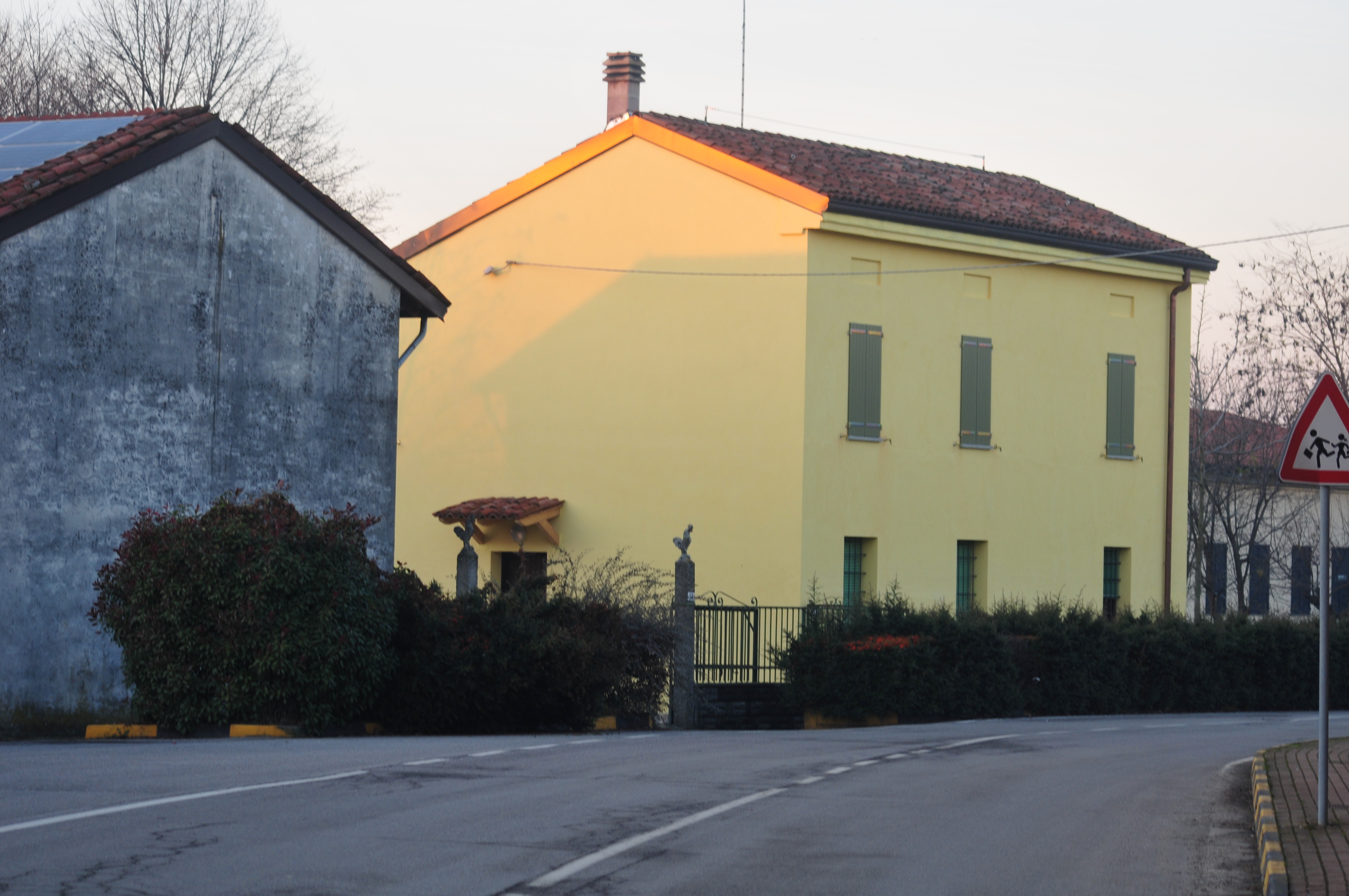 FORESTERIA 2 GALLI