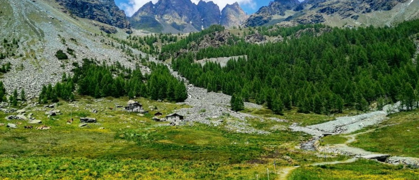 RIFUGIO MUSELLA