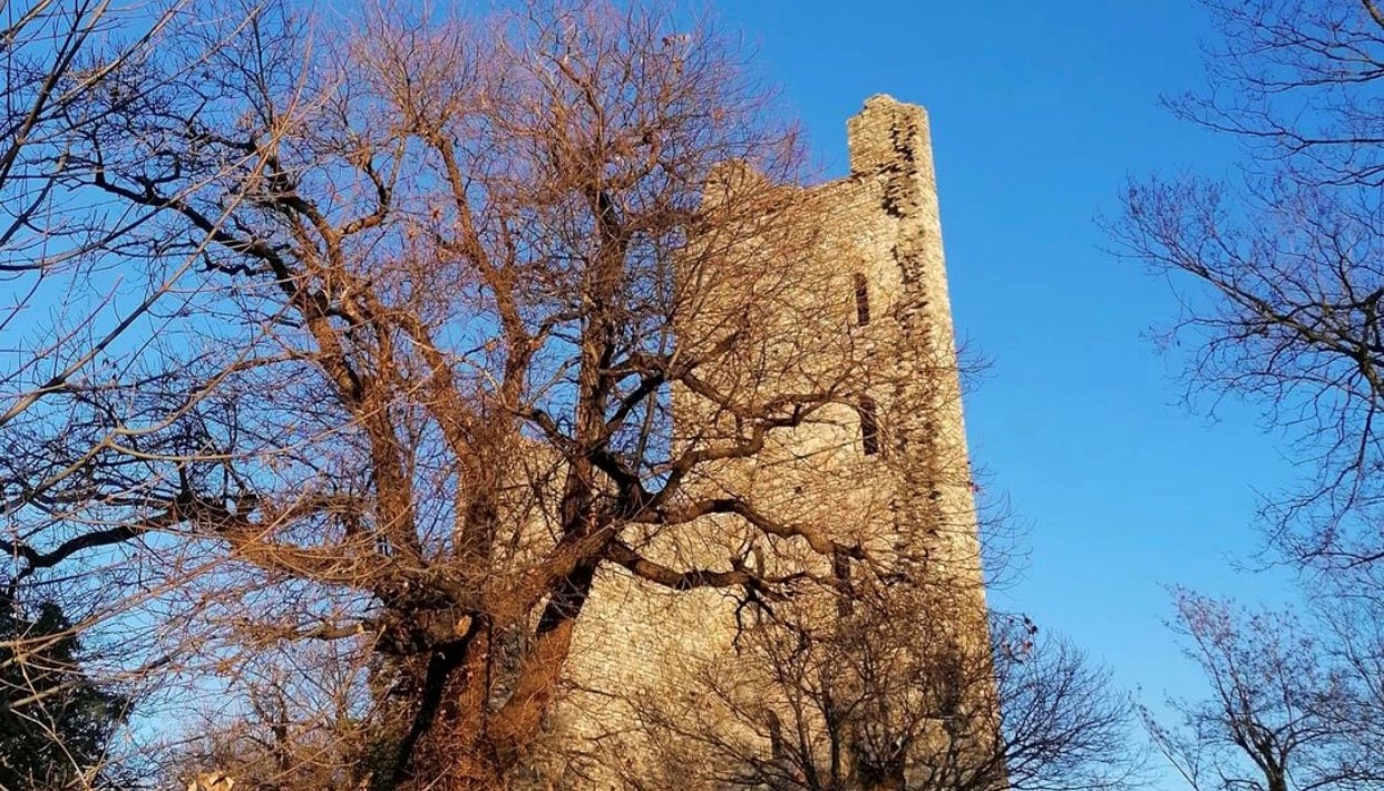 Torre di Velate 