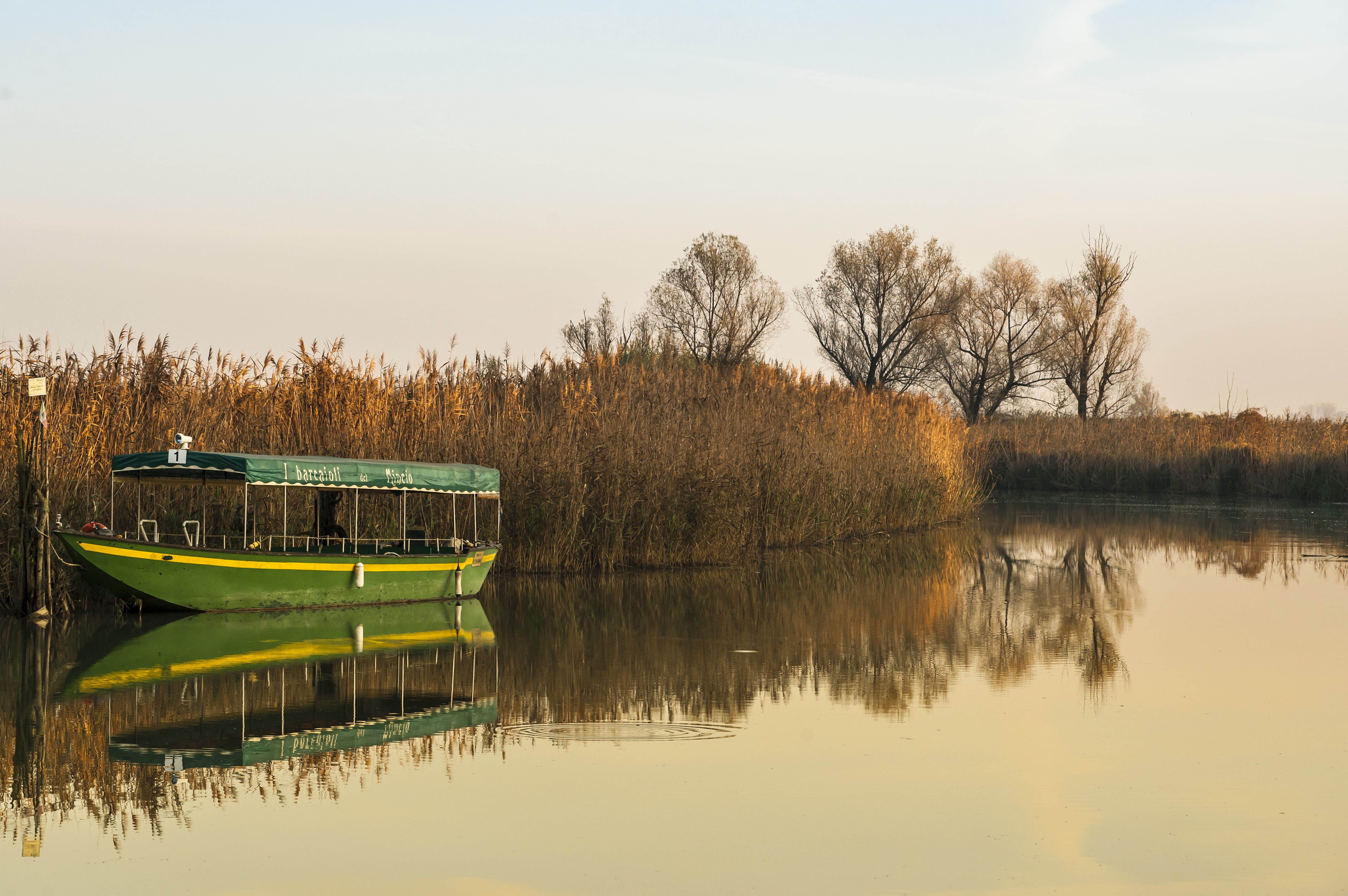 Parco del Mincio (MN)