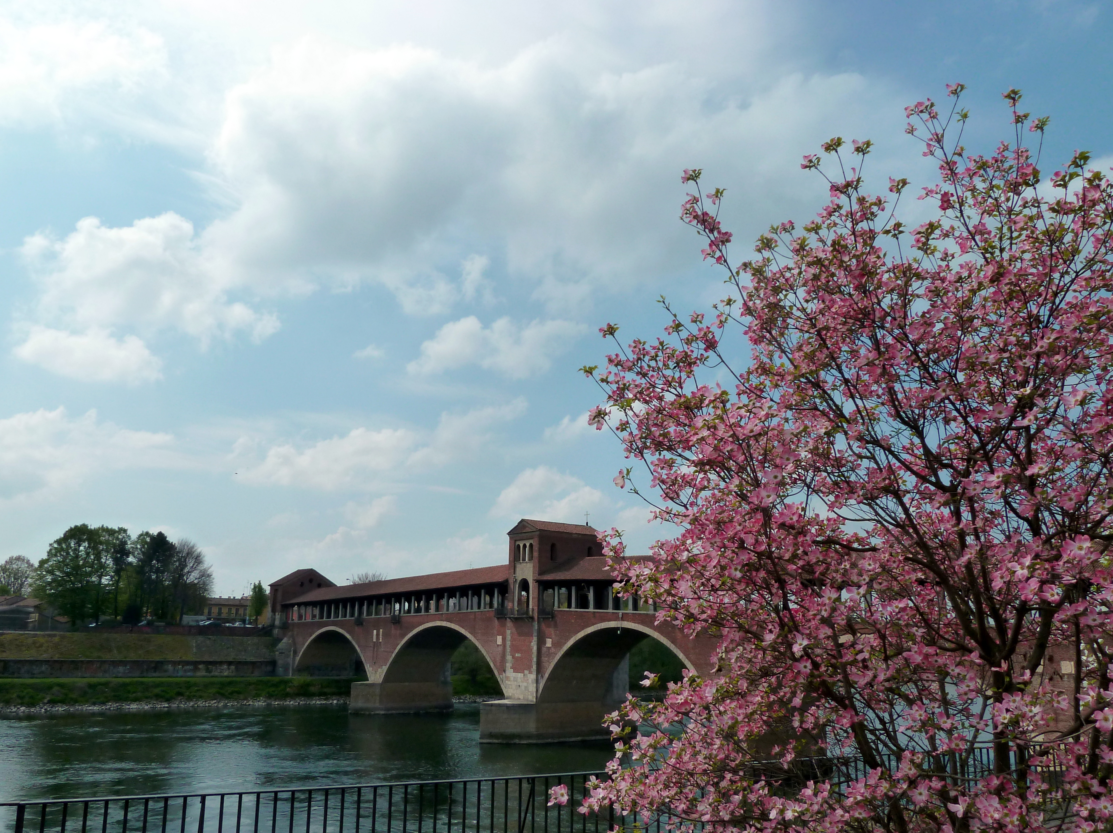 Ponte Coperto di Pavia
