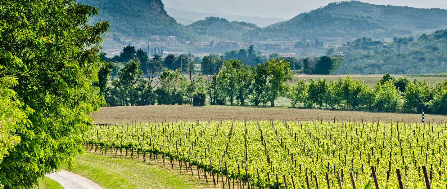 Franciacorta