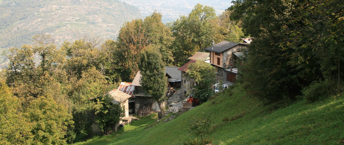 The other way of Aprica