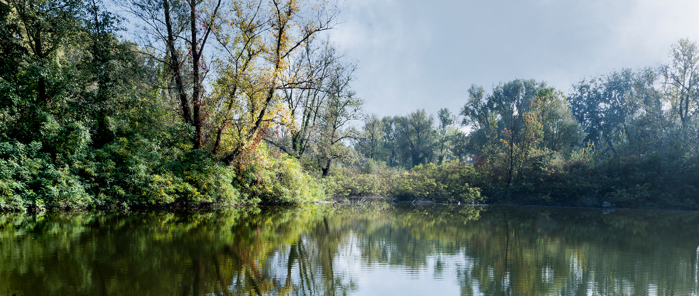 Parco Adda Sud, Lodi