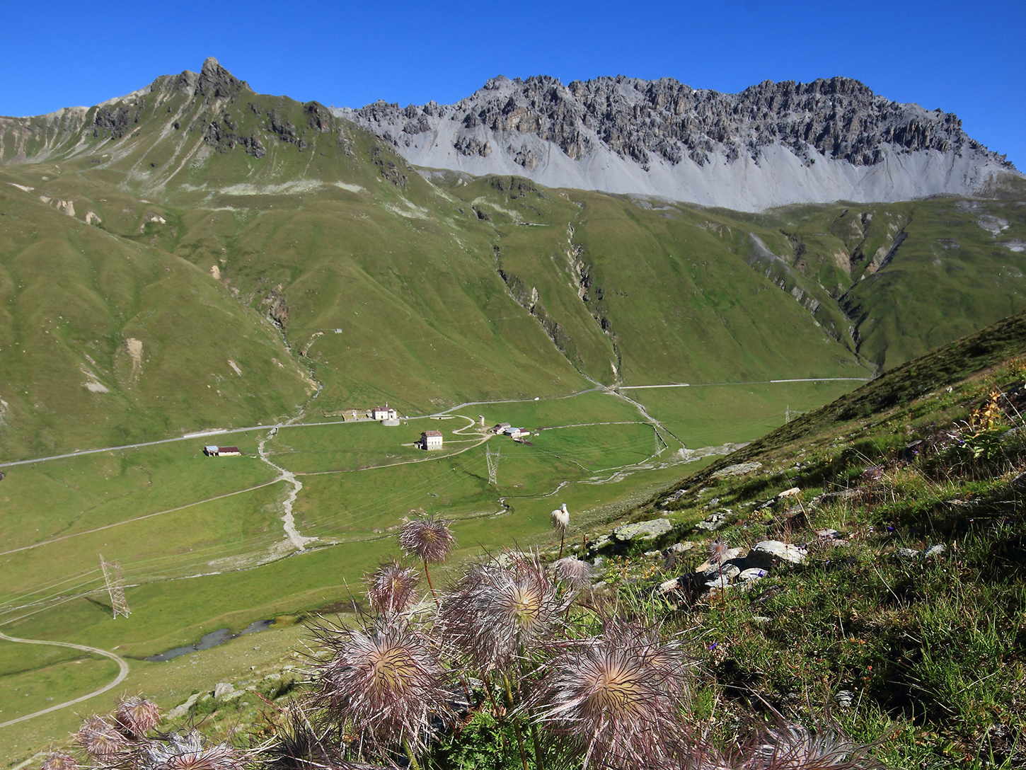 Escursione allo Stelvio, il Filon dei Mot