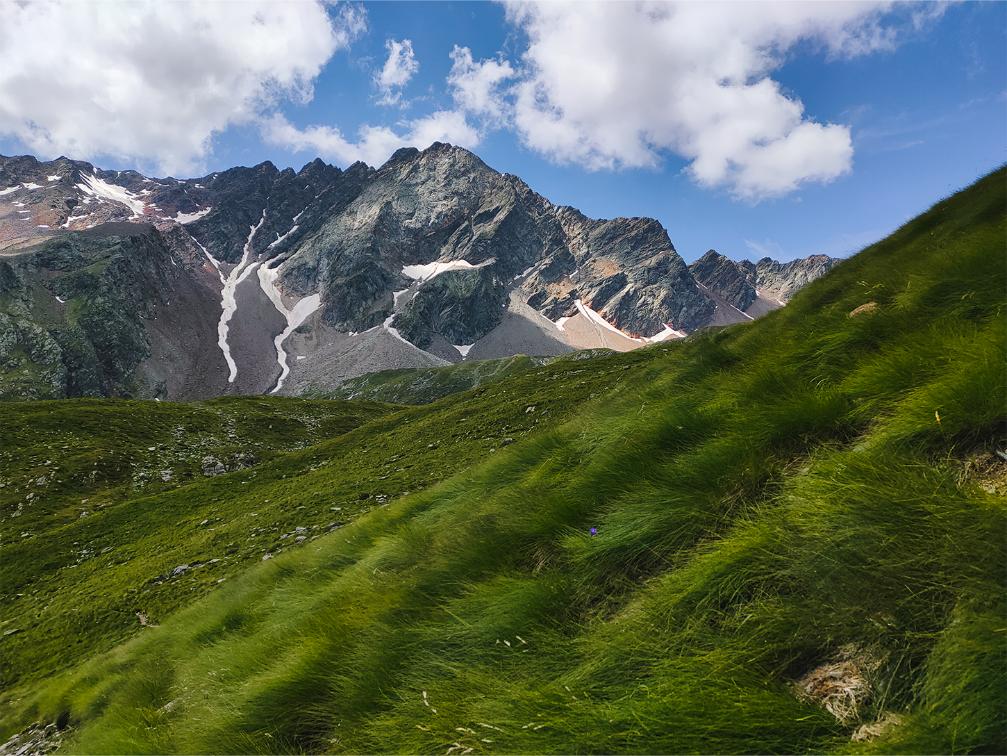 La Valle delle Messi