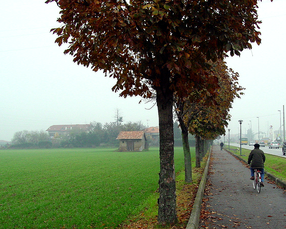 The dwellings of "Delizia"