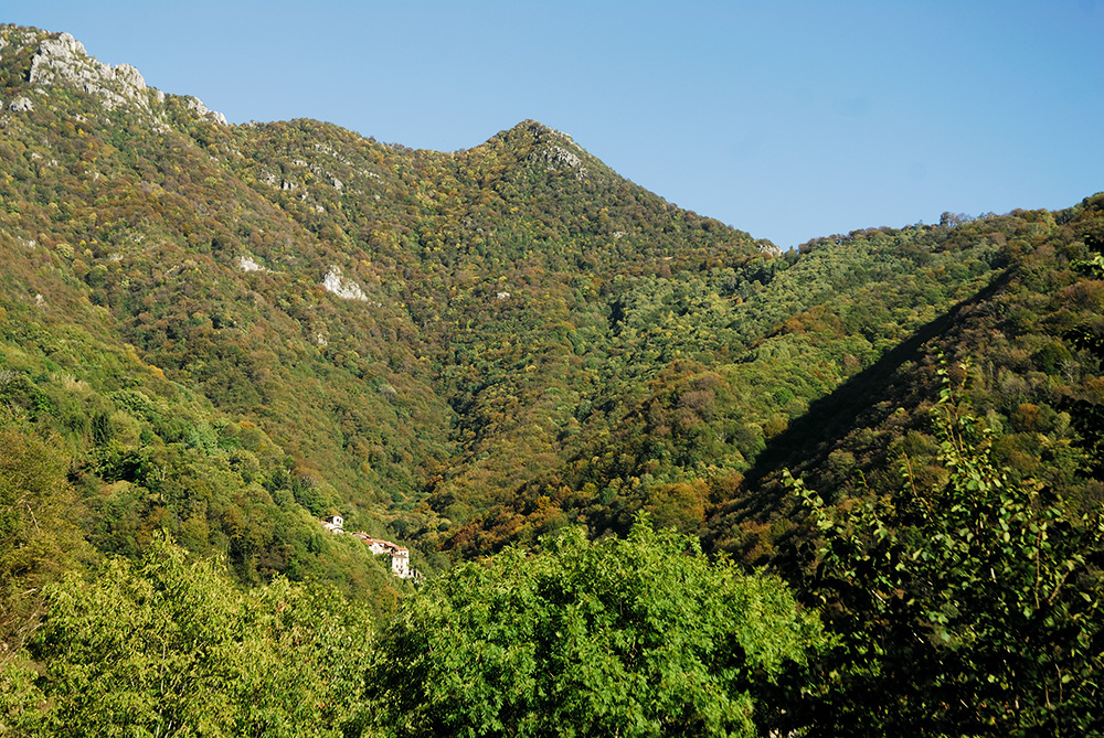 Sul Monte Spedone verso Nesolio