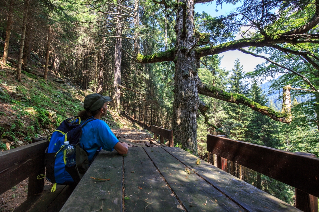 Bitto Valley of Albaredo