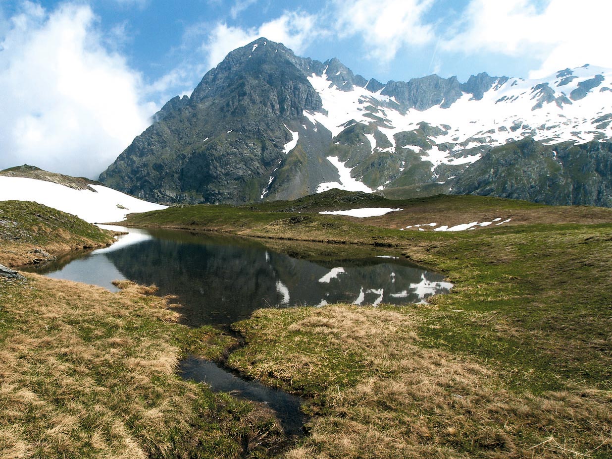From the Curò among the flowers of the Seriana Valley