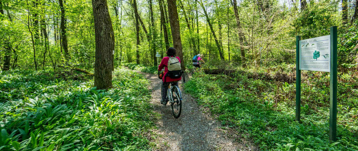 Wine Bike Tour 3 - Nature