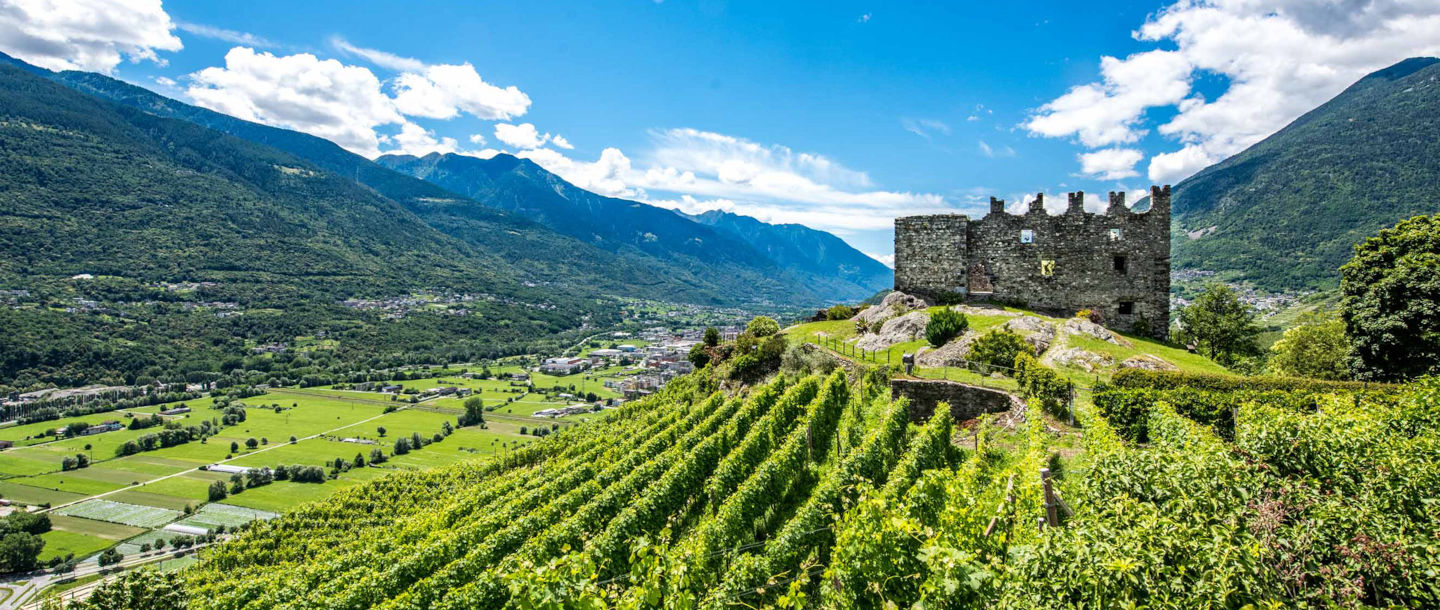 Wine Bike Tour 4 - Art