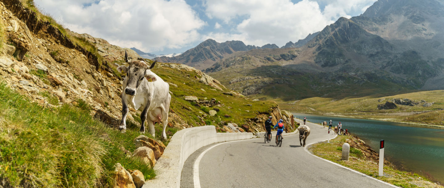 Gavia Pass - Valtellina tourism - Lombardy - ph: Juri Baruffaldi