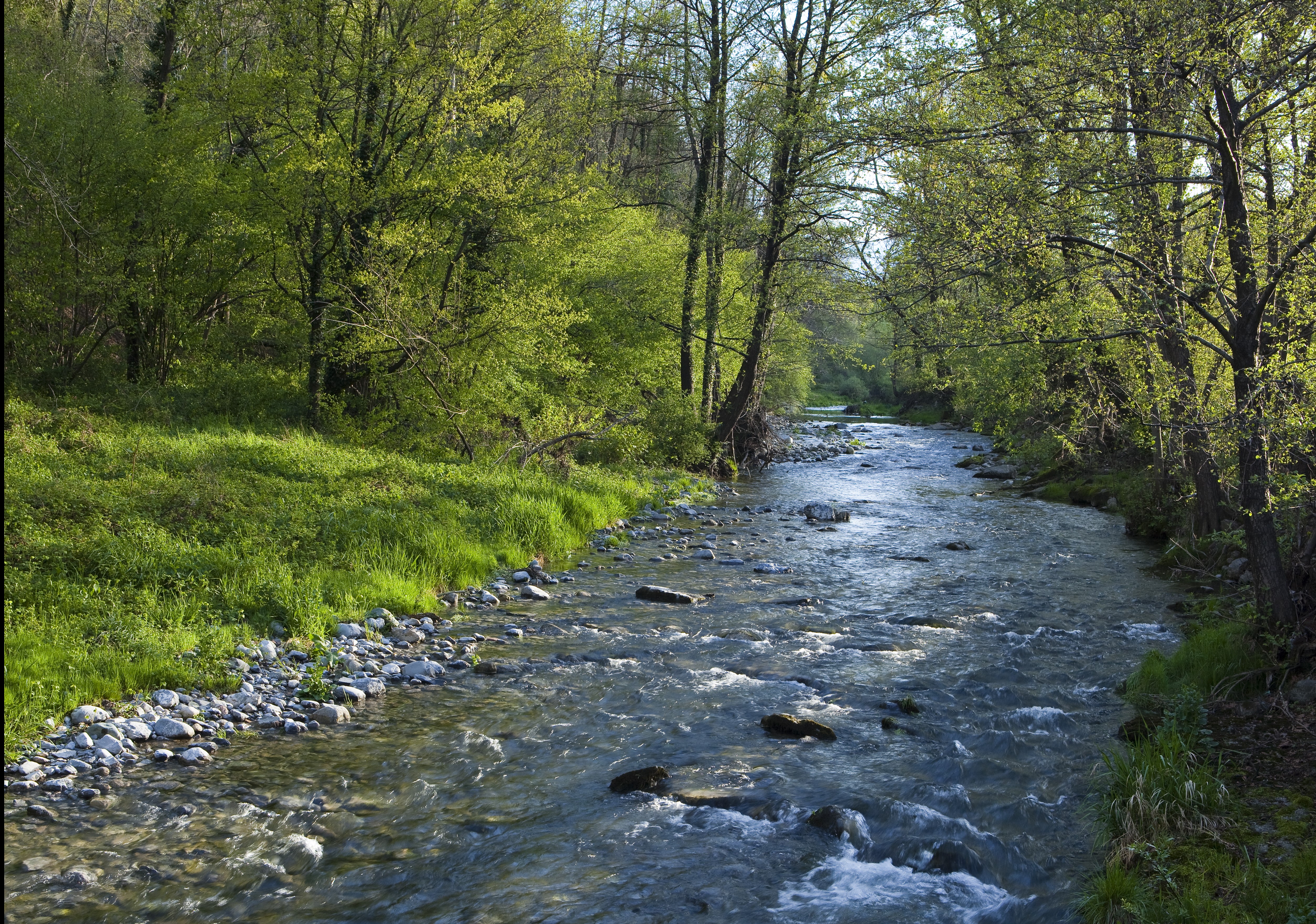 Lo scorrere del Lambro a Caslino d'Erba