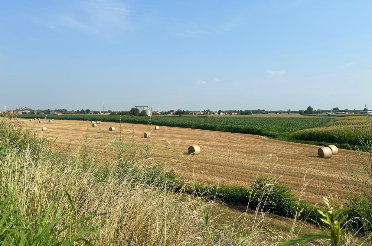 Campagna Cremonese