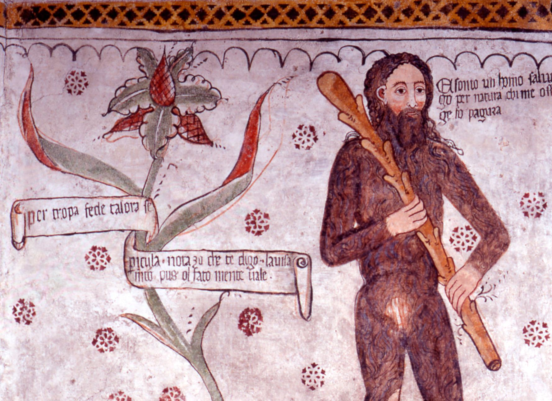 homo salvadego museum