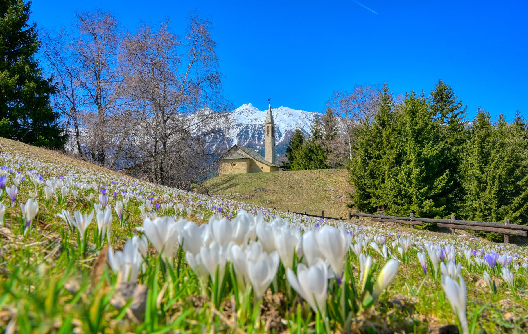 St. Peter's Locality