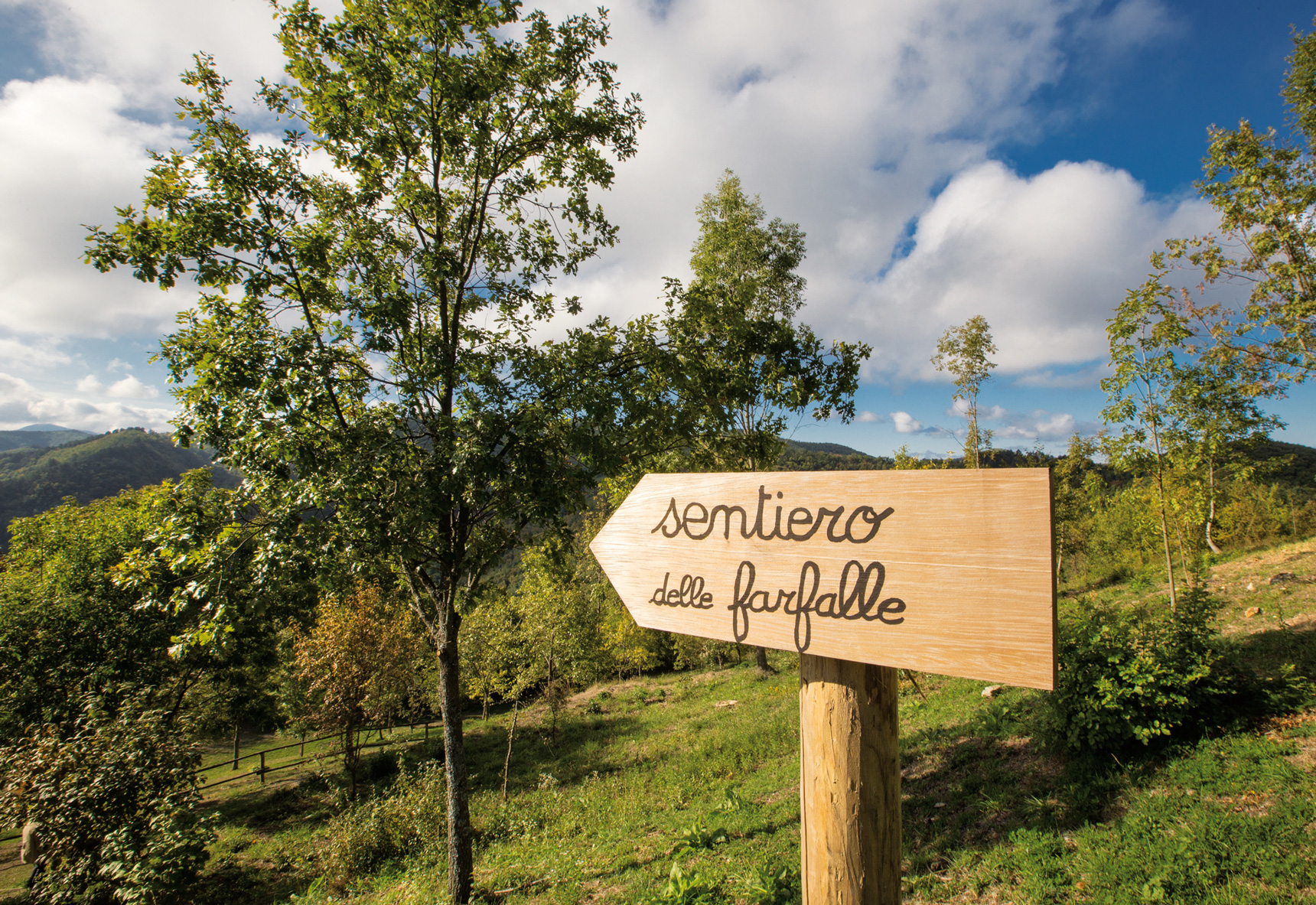 Sentiero delle Farfalle a Valverde (PV)