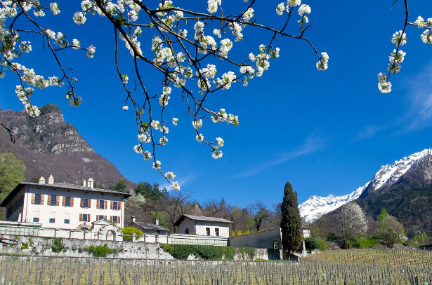 Palazzo Vertemate Franchi