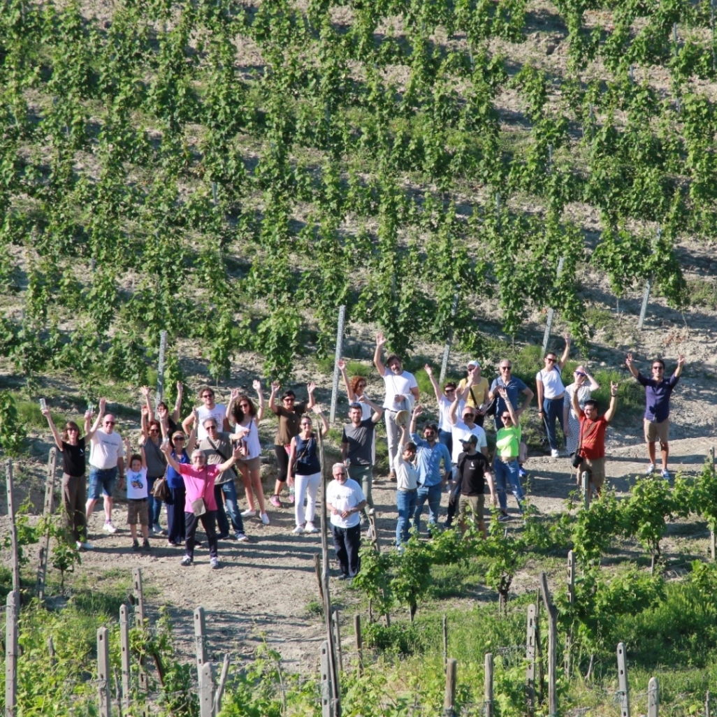 Passeggiata nei vigneti