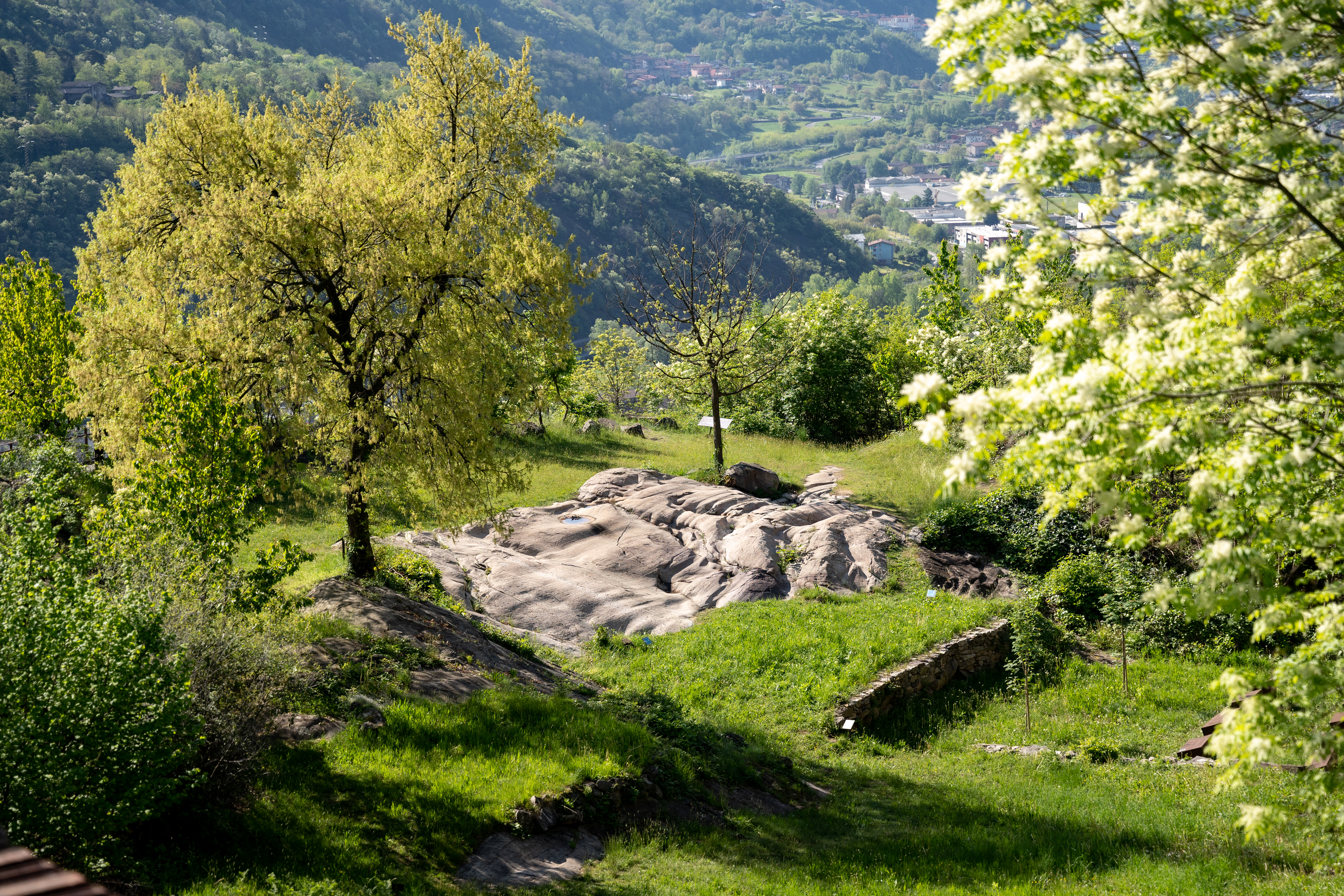 Parco di Seradina-Bedolina
