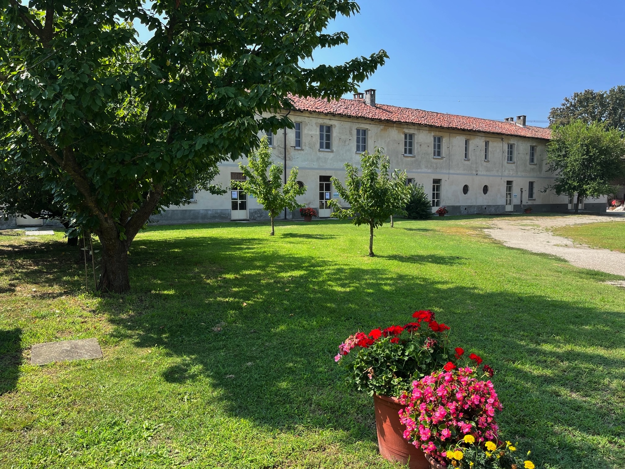 tenuta lamercurina