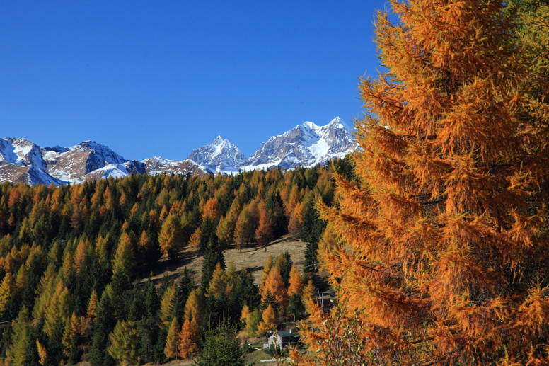 Trivigno autunno Trivigno