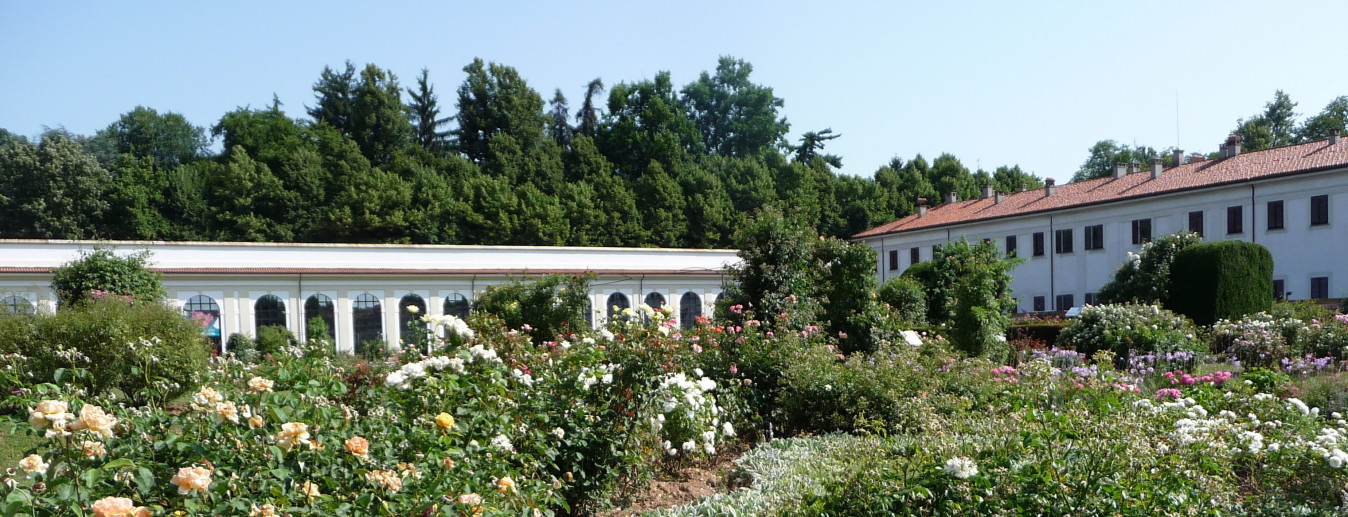 Niso Fumagalli Rose Garden