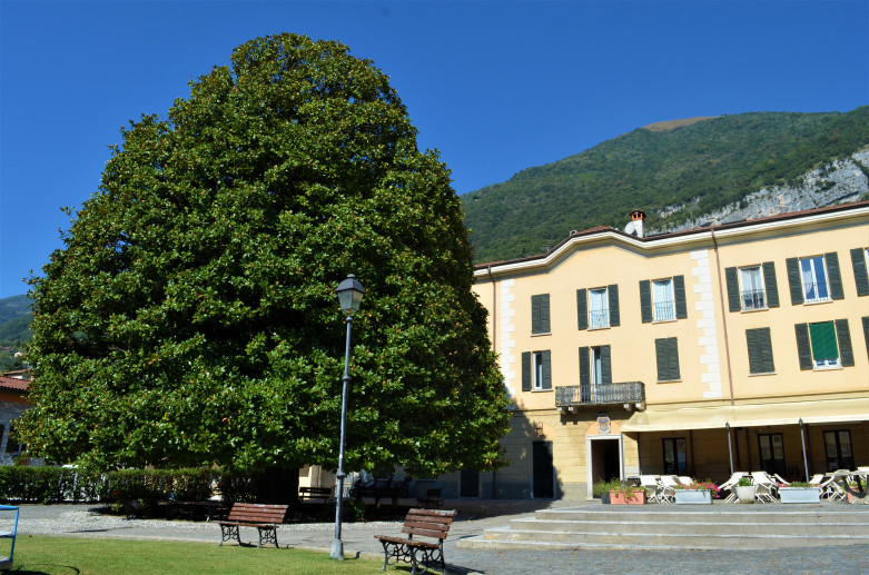 La Magnolia di Azzano