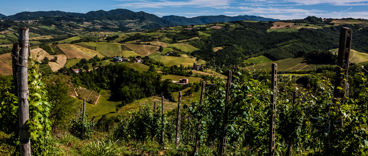 Wine in Valtellina - Val Chiavenna