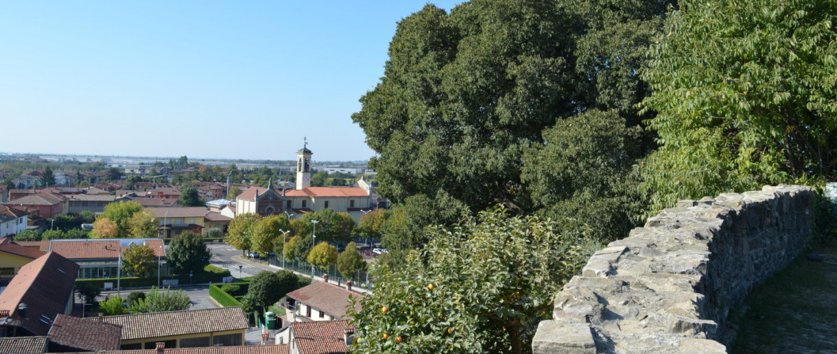 Il Bagolaro del Castello di Brusaporto