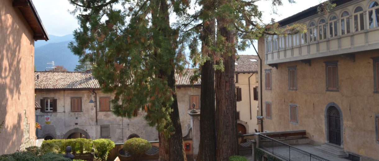 Le Sequoie di Clusone