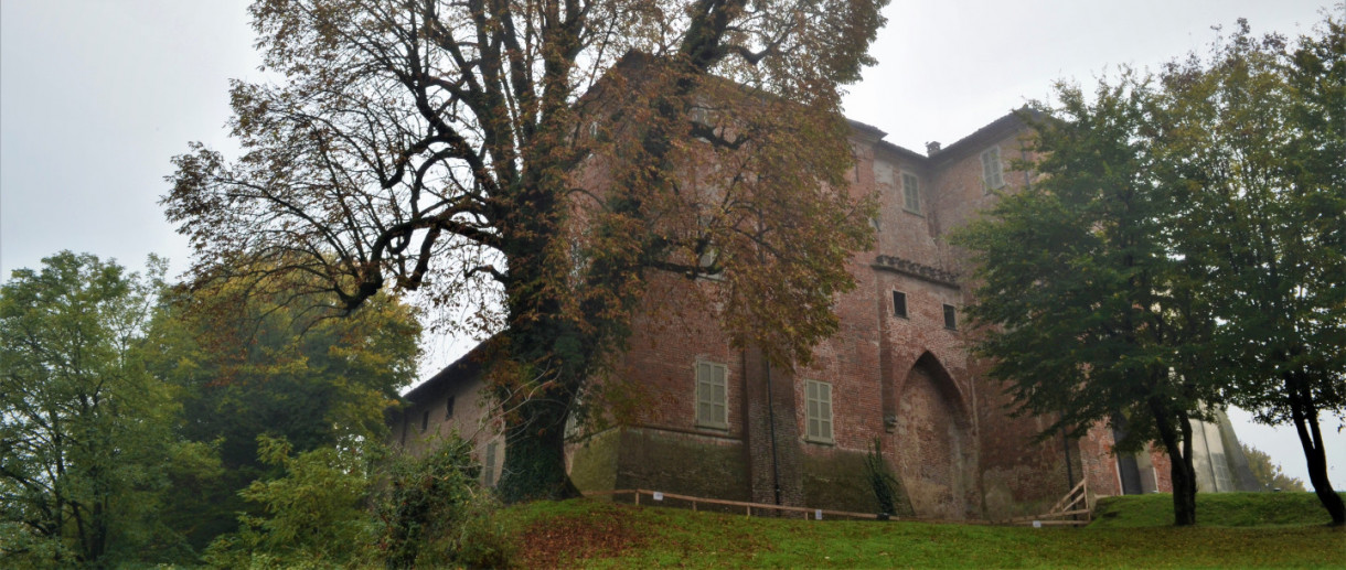 The Horse Chestnut of Somaglia Castle