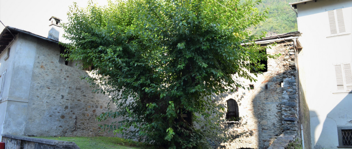 Il Gelso di Ponte in Valtellina