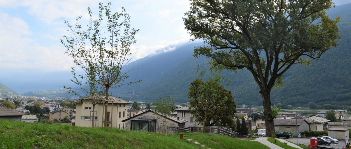 Il Pioppo di Villa di Tirano