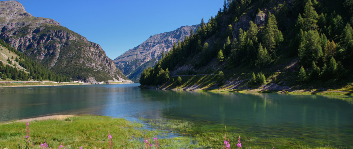 Lake Gallo/Livigno 