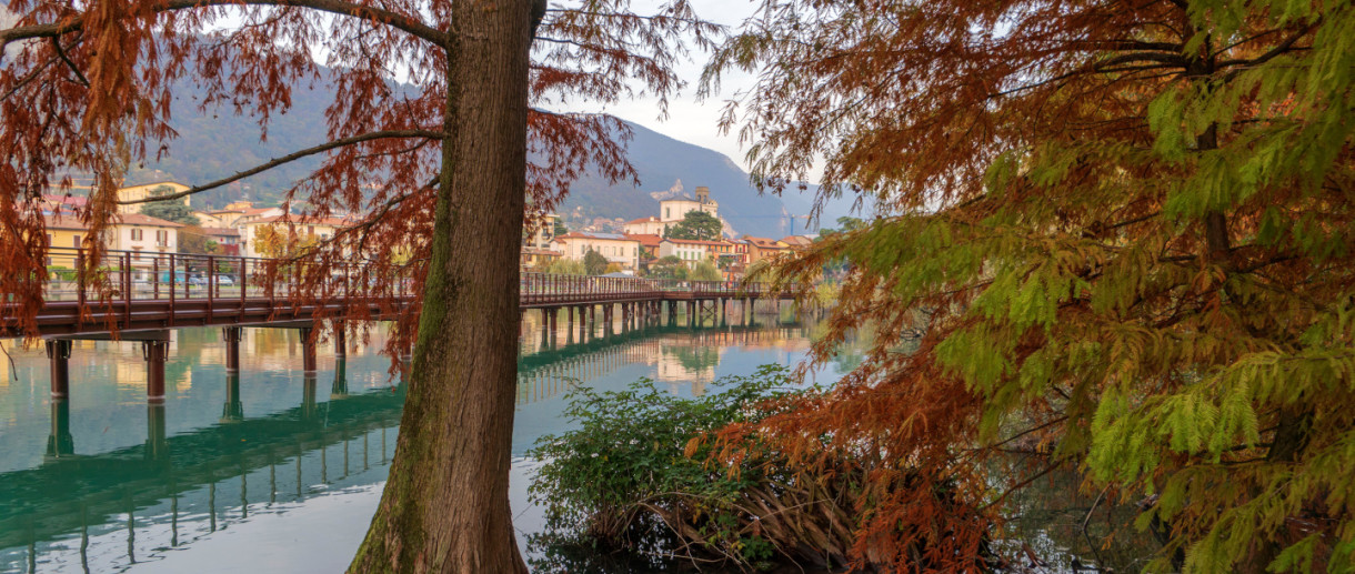 Parco dei Taxodi 