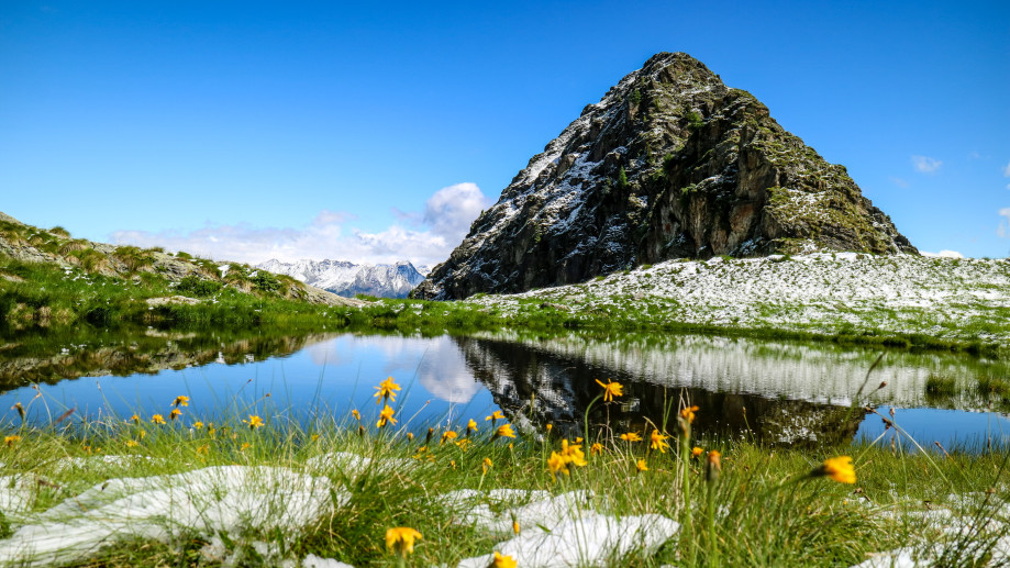 Aprica - Palabione