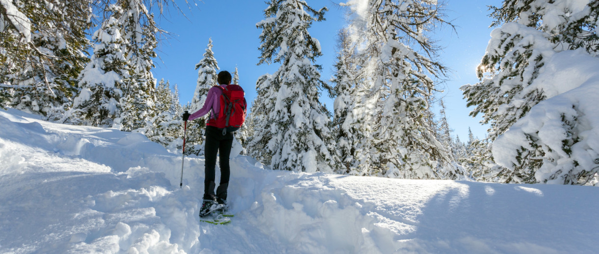 (Ph: in-lombardia I Mille)