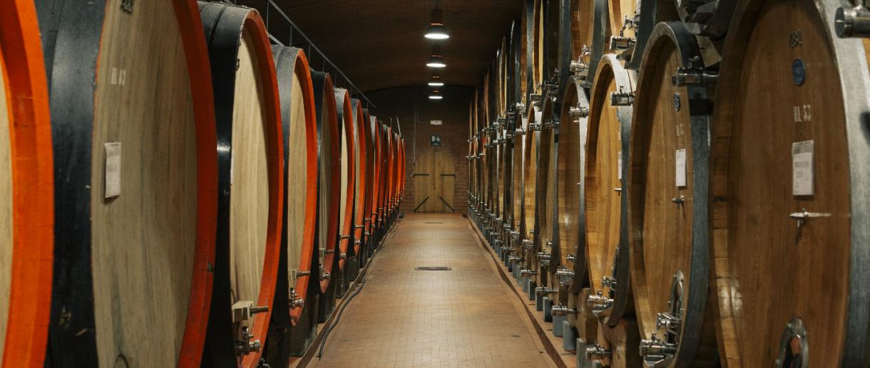 In Valtellina, per cantine In Valtellina, per cantine