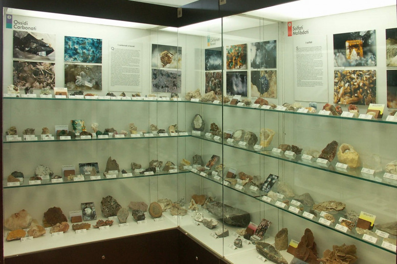 Museo Civico di Scienze Naturali Alessio Amighetti