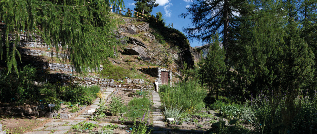 Giardino Botanico Alpino Rezia, Giardini Sondrio