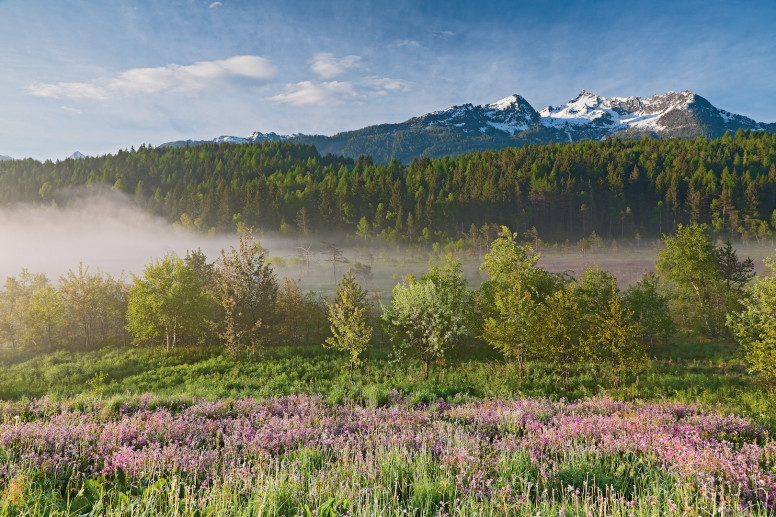 Riserva Naturale Pian di Gembro