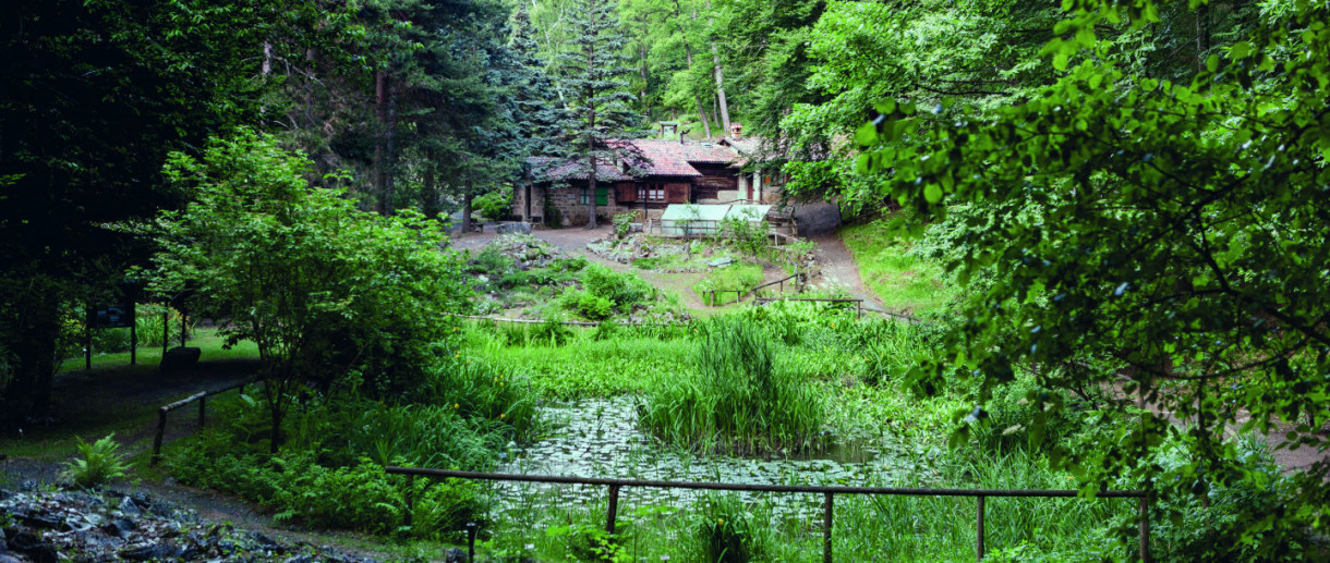 The Pietra Corva Alpine Gardens