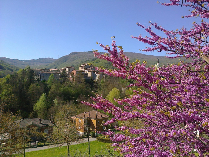 Ecomuseo dell'Appennino Lombardo "Il Grano in Erba"