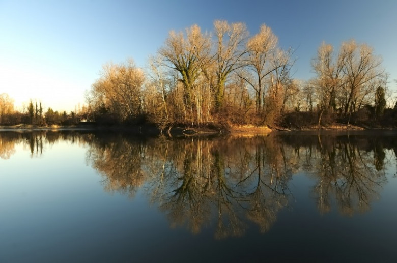  Parco Palustre di Lungavilla 