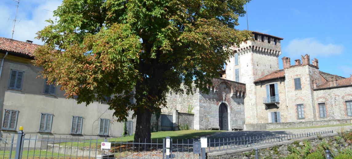 L’Ippocastano di Castello Visconti