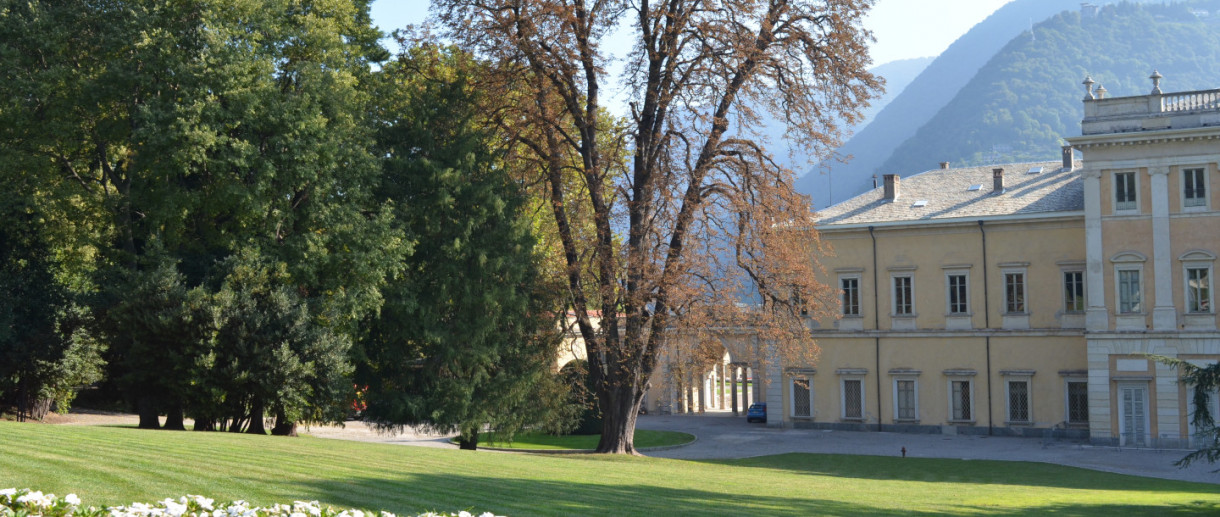 The Horse Chestnut of Villa Olmo