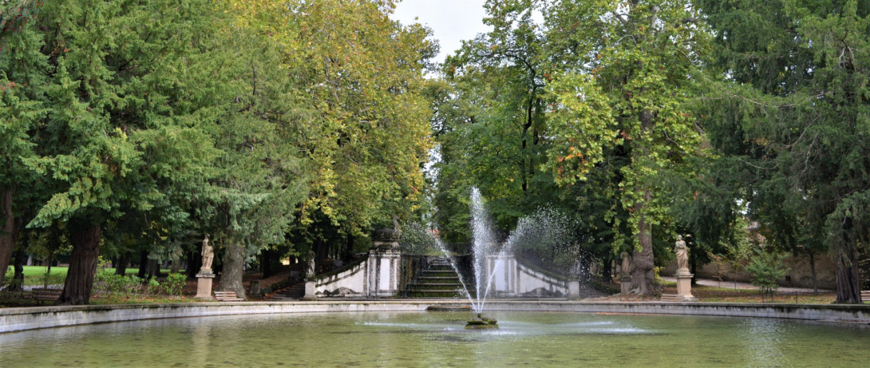 I Platani di Parco Borromeo